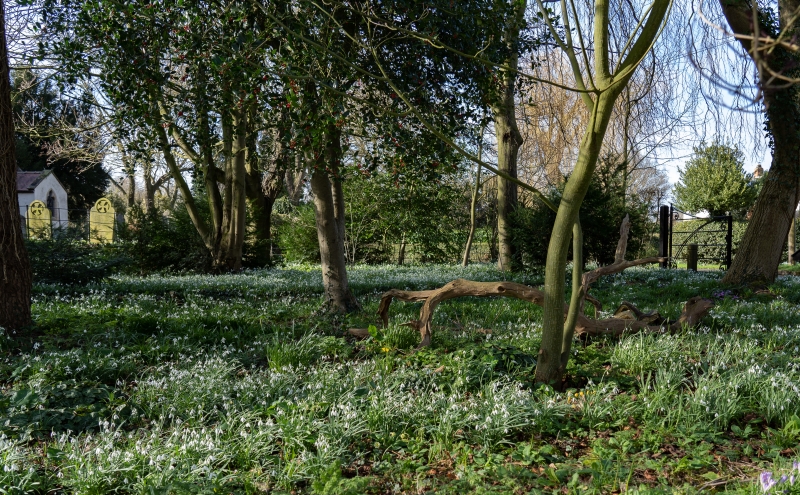 Church Farm